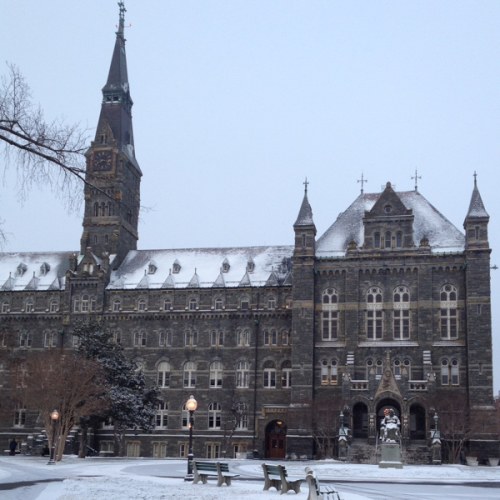 Babylist College Fund