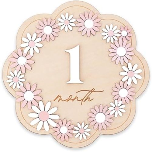 Daisy 3D Baby Monthly Milestone, Wooden Baby Milestone Signs, Monthly Milestone Wood Discs, Baby Milestone Discs (Flower)