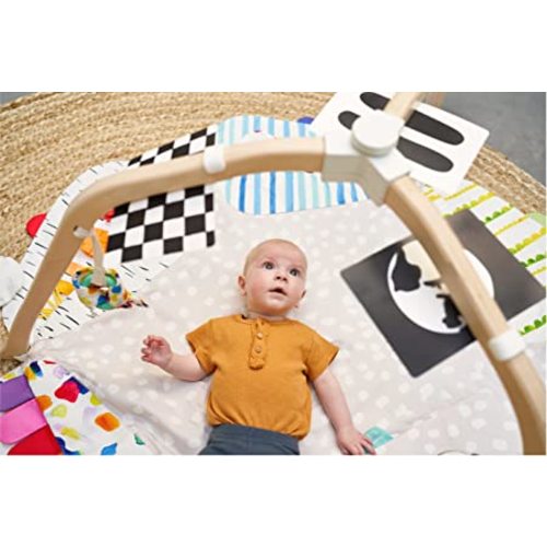 The Play Gym by Lovevery | Stage-Based Developmental Activity Gym & Play Mat for Baby to Toddler, 1 Count (Pack of 1)