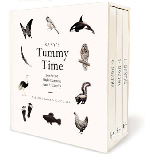 Baby's Tummy Time Book Box Set: A 3-Book Box Set of High-Contrast Art for Visual Stimulation at Tummy Time (Our Little Adventures Series)