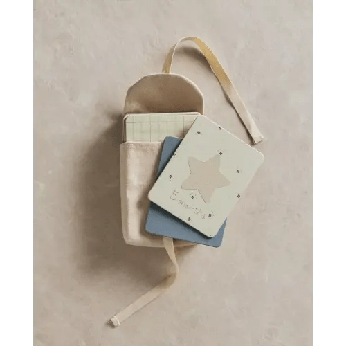 BABY MONTHLY MILESTONE KIT – 12 DONKEY CARDS | Zara Home United States of America