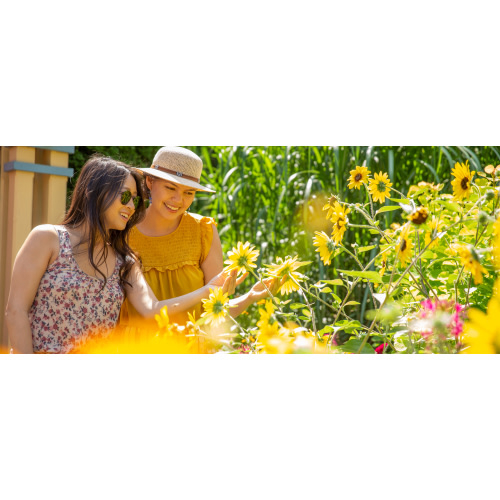 Become a Member | The Morton Arboretum