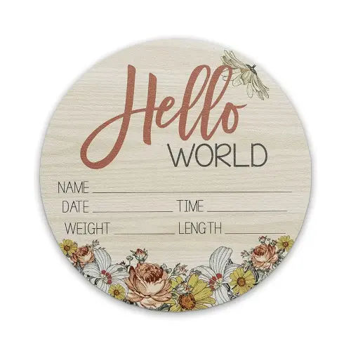 Birth Stat Sign for Newborn Baby, 6" Floral Design, Hello World, Gift for New Mom, Baby Shower, Gender Reveal, Crib & Nursery Decor, Pregnancy Announcement, Photography Prop, Hickory Hollow Designs