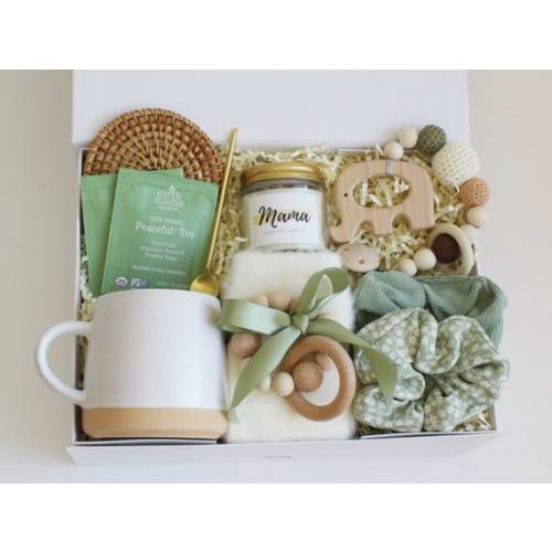 New Baby Gift Box, Congrats on Your New Baby, New Mama Succulent Gift Box, Congratulations Pregnancy Gift Set, Live Succulent Care Package - Etsy