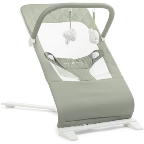 Baby Delight Alpine Deluxe Portable Bouncer, Organic Sage