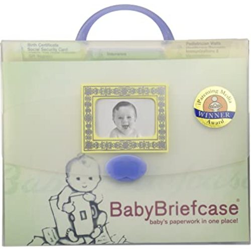 Baby Paperwork Organizer, Mint/Periwinkle
