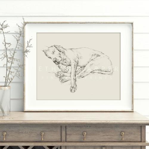 Black Labrador Retriever Sketch Art Print - Ethan Harper's Dog Drawing for Wall Decor