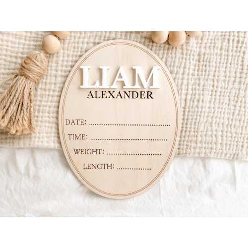 Personalized Baby Name Announcement Sign, Custom Wood Birth Stat Plaque, 3D Newborn Name Sign, Hospital Name Reveal Keepsake, Baby Shower
