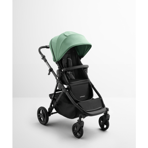 Single-to-Double Stroller 3.0