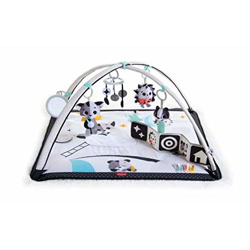 Tiny Love Black & White Gymini Infant Activity Play Mat With-Book, Magical Tales, Deluxe