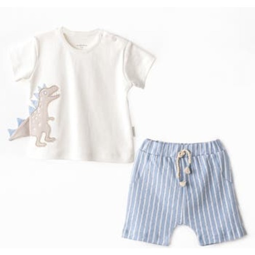 Shorts Dinosaur Shirt Outfit Set, 3-6M