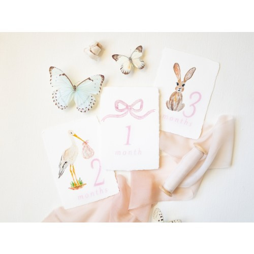 Monthly Milestone Cards Watercolor Bow, Stork, Bunny Baby Set of 12 Months on Handmade Paper or White Cardstock Pink | Blue | Yellow | Green