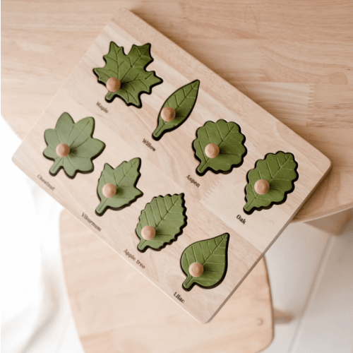 Montessori Leaf Puzzle