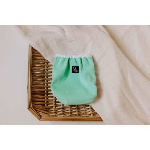 Dino Diapers Green Velvet Newborn Reusable Cloth Diaper Cover*