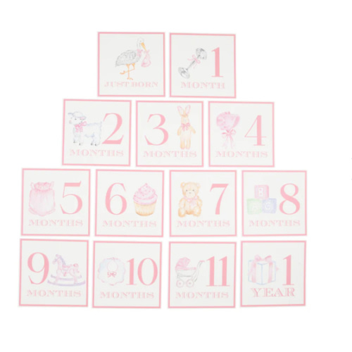 Sir Proper's Month Markers - Palm Beach Pink