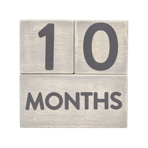 Pearhead Baby Milestone Age Blocks