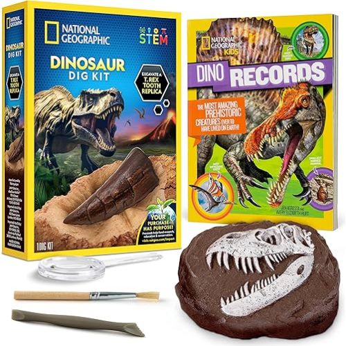 NATIONAL GEOGRAPHIC Dino Fossil Dig Kit & Dinosaur Book for Kids- Excavate a Replica Dinosaur Tooth Fossil and Study Paleontology with a Full-Color Dinosaur Activity Book for Kids (Amazon Exclusive)