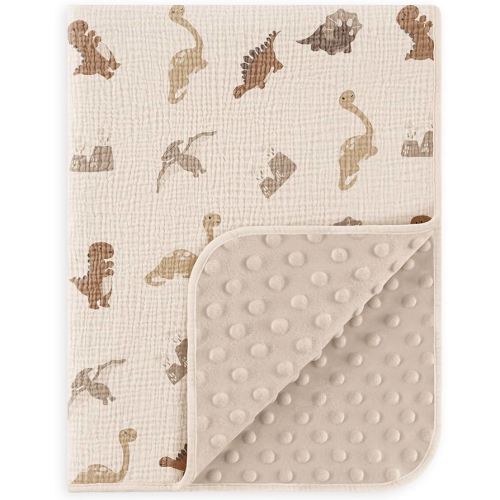 Susurration Baby Blanket for Unisex Boys Girls, Soft Nursery Minky Blanket with Muslin Cotton Front and Dotted Fleece Back, Receiving Blanket for Baby Newborn Infant, 30x40inch (Dinosaur)