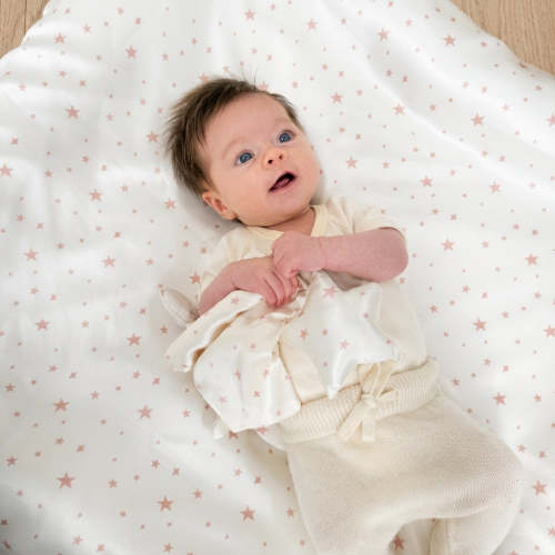 Silk Flat Sheet/Blankie Color Piink Gingham