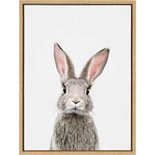 Kate and Laurel Sylvie Female Baby Bunny Rabbit Animal Print Portrait Framed Canvas Wall Art by Amy Peterson, 18x24 Natural