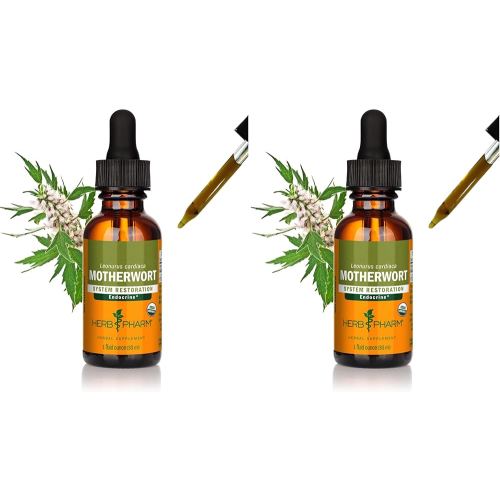 Herb Pharm Certified Organic Motherwort Liquid Extract for Endocrine System Support - 1 Ounce (Pack of 2)