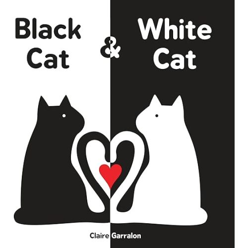 Black Cat & White Cat: A High Contrast Sensory Board Book About Opposites For Newborns and Babies Board book – Picture Book, June 7, 2016