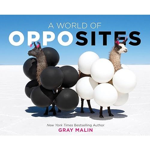 A World of Opposites: A Picture Book Hardcover – Picture Book, May 5, 2020