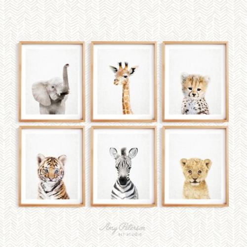 AmyPetersonArtStudio Baby Safari Animals Nursery Wall Art