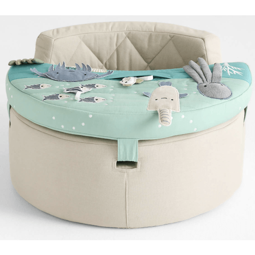 Aquatic Baby Activity Chair