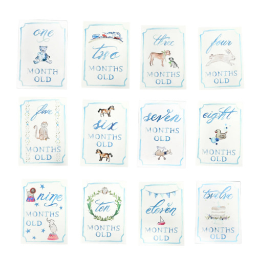 Monthly Milestone Card Set - Blue | Danrie