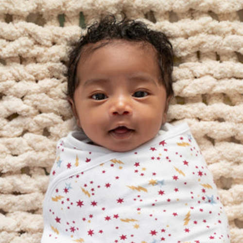 Briar Rose Baby Cotton Easy Swaddle | aden + anais