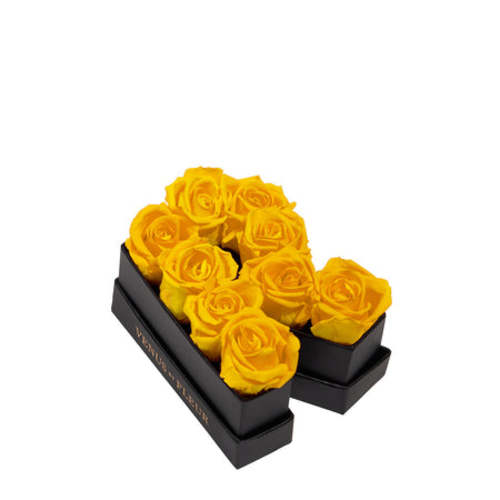 Le Mini Letter - R