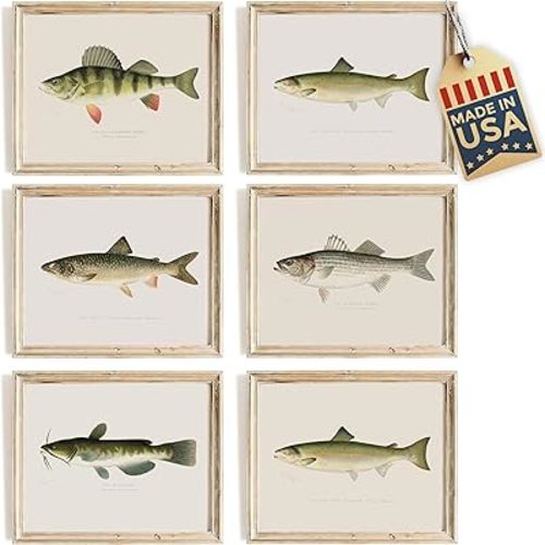 Fish Wall Art Prints (Set of 6) - Unframed - 8x10s | Vintage Fishing Decor - Reproductions of Vintage Fish Drawings - Midwest Fish Species - Great Gift for Fisherman