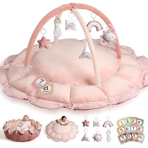 HAN-MM 5-in-1 Convertible Baby Play Gym with 6 Toys, Tummy Time Mat for Sensory Development, Baby Activity Center from Newborn to Toddler, Ball Pit, Cat & Dog Bed, Soft Plush Pet Bed, Pink