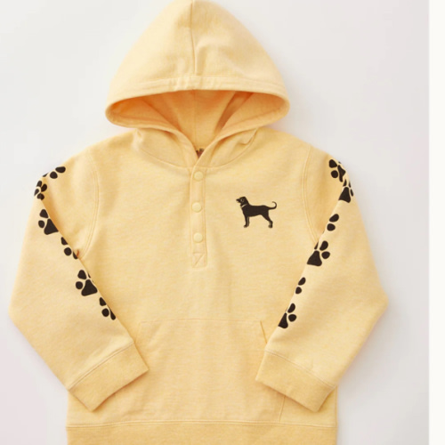 Lil Kids Classic Hoodie Sweatshirt – The Black Dog