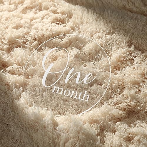 UNIQOOO 13Pcs 4'' Clear Acrylic Monthly Baby Milestone Printed Cards, Photo Props, Round Baby Months Growth Sign for Boy, Girl Photography, One Month to One Year & Hello World Card, New Baby Gifts