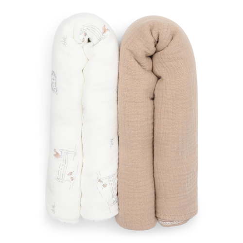 Carter's Child of Mine Infant Swaddle Blanket, 2-Pack, One Size