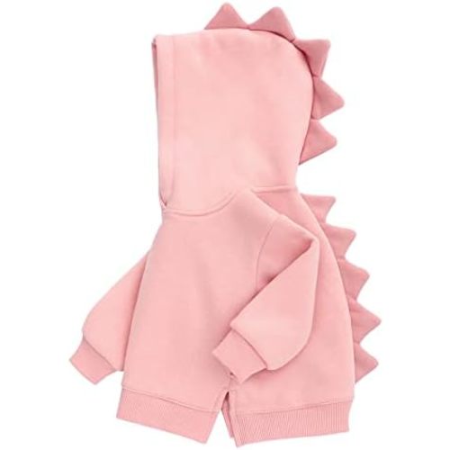 famuka Little Kids Dinosaur Hoodie Toddler Boy Girl Sweatshirt Unisex Casual Tops