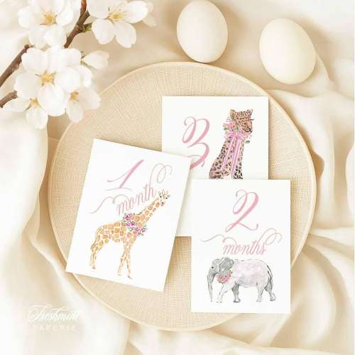 Girl Milestone Cards | Milestone cards | Safari | Baby Gift | New Mom | Gift Ideas | Baby Shower | Baby Month Cards | Memories | Baby Girl