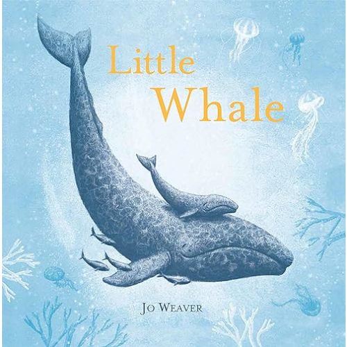Little Whale Hardcover – Picture Book, October 2, 2018
