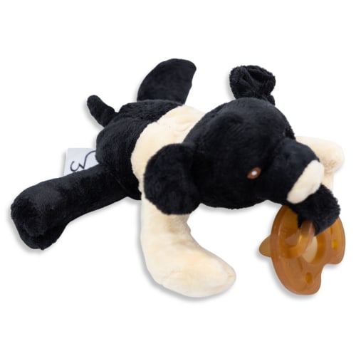 Hampshire Pig Detachable Pacifier