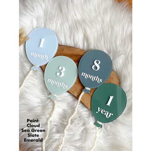 Balloon Acrylic Milestone Set, Monthly Milestone Set, Acrylic Milestone Discs, Baby Milestone Cards, Monthly Photo Props, Balloon Milestones