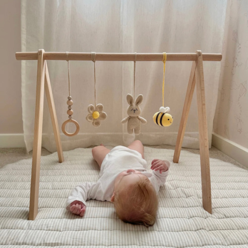 Play Gym