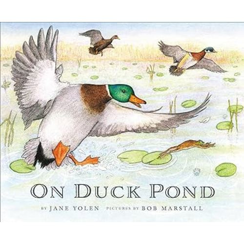 On Duck Pond (On Bird Hill and Beyond, 2)
