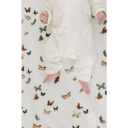 Clementine Kids Butterfly Migration Crib Sheet