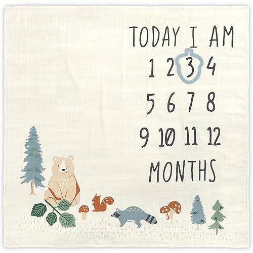 Modern Moments by Gerber Muslin Milestone Blanket with Felt Month Marker Frame