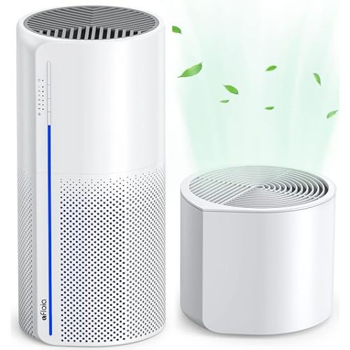 2 in 1 Air Purifier & Humidifier