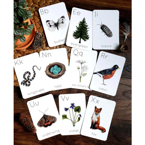 Backyard Nature Alphabet Flashcards