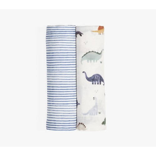 Dillon Dino Organic Swaddle Set