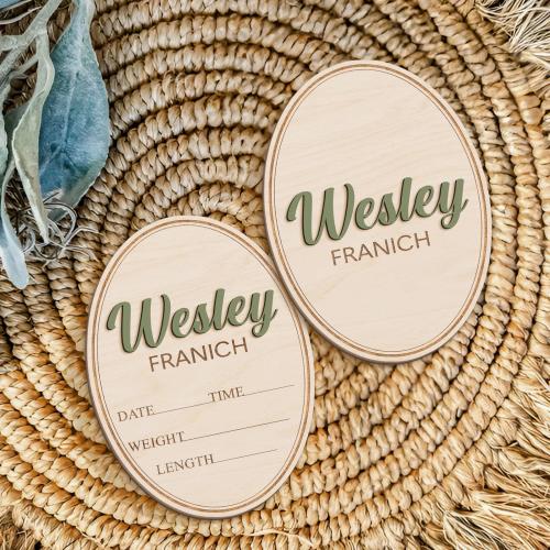 Custom Newborn Arrival Announcement Sign, Baby Name With Birth Stats, Baby Name Reveal, Personalized Baby Shower Gift, Sign for Hospital